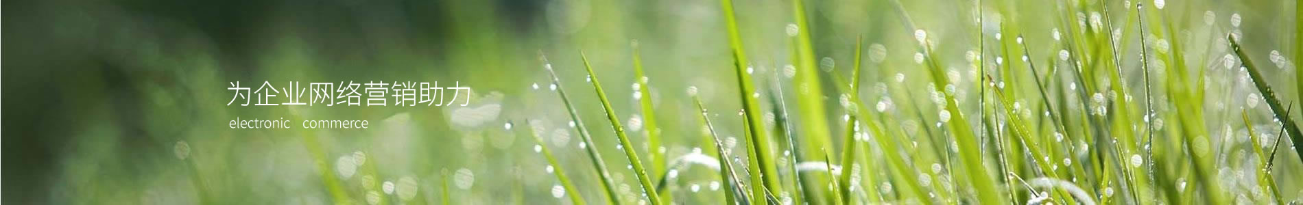 ӱŰʹó޹˾